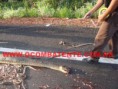 /album/galeria-de-fotos/sucuri11-jpg/